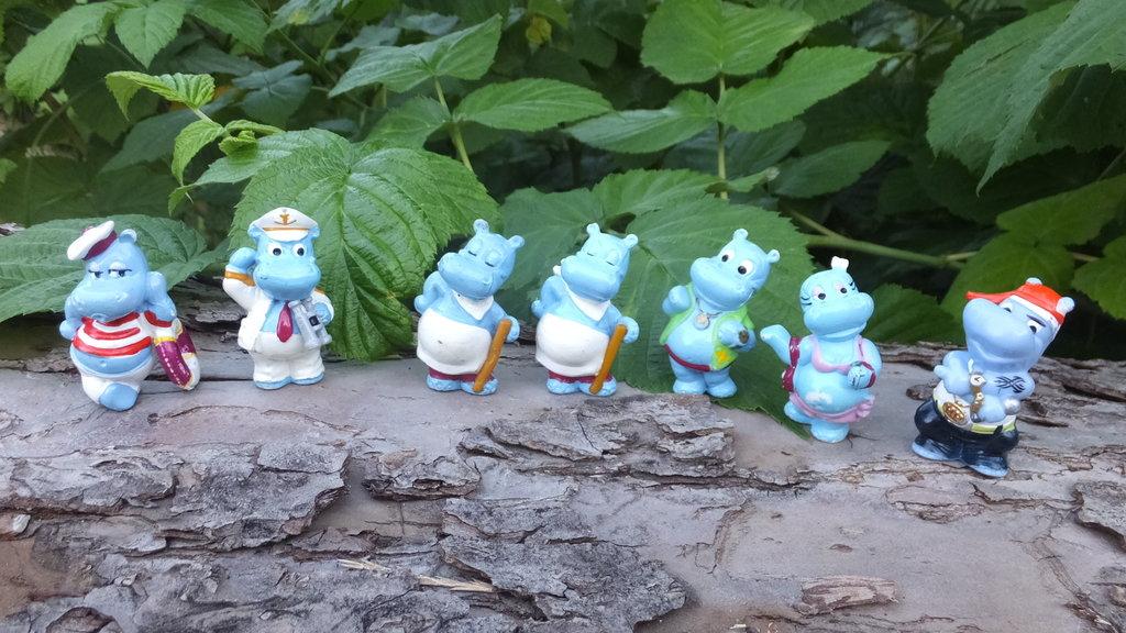 Hippo Holiday
