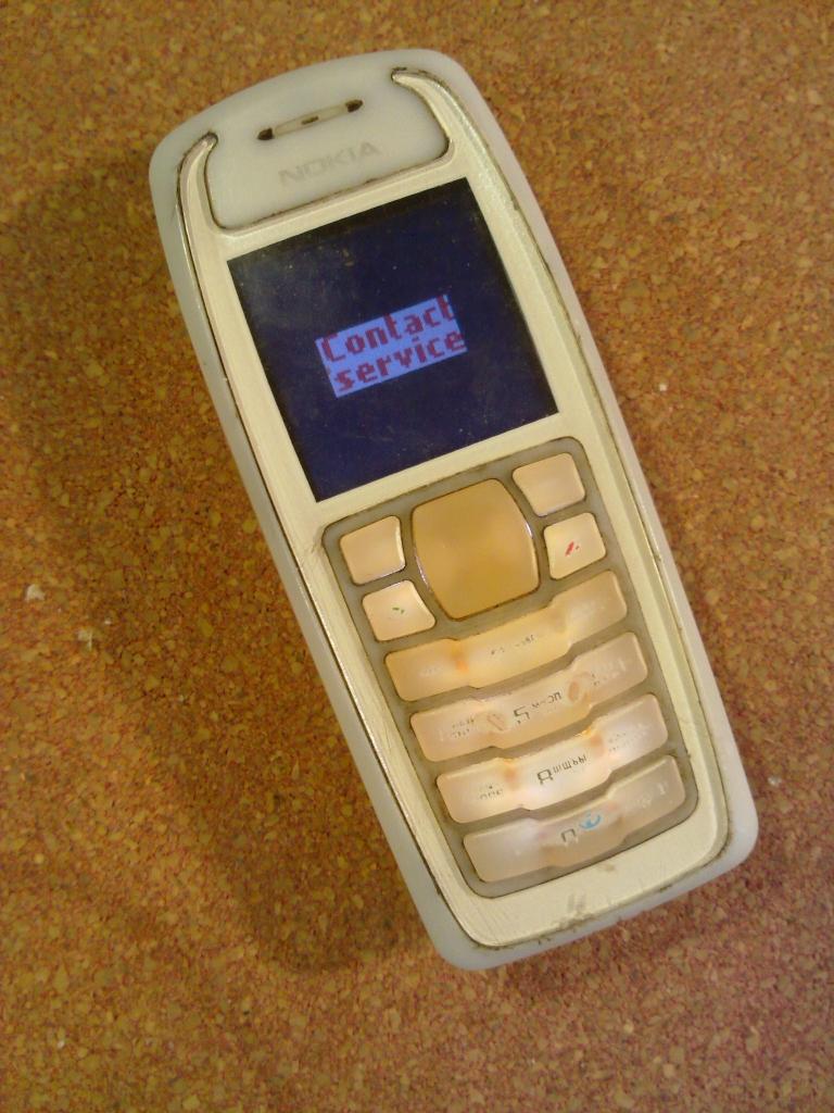 Nokia 3100