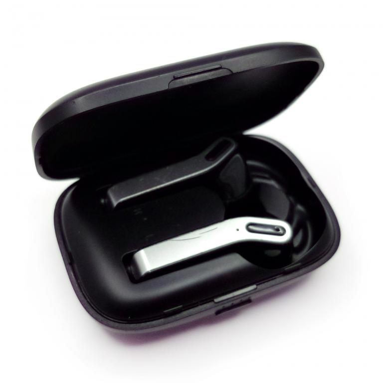 Gabba goods truebuds pro discount
